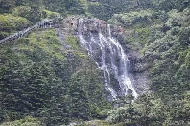 泡泡升空记8